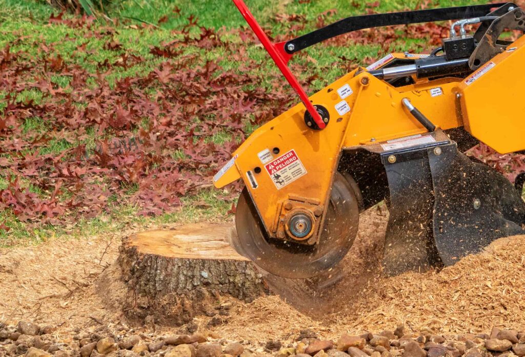 Advanced stump grinding Woking equipment removing deep tree stumps with minimal disruption