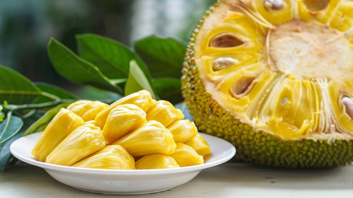 Why Jackfruit is healthful and nutritious?