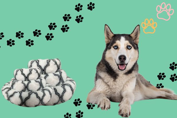 Optimal Rest: Selecting the Right Donut Bed for Your Beloved Pet