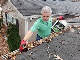 gutter cleaning portland or