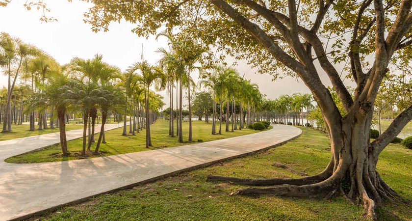 Explore the Beauty of Prince Sultan Bin AbdulAziz Park