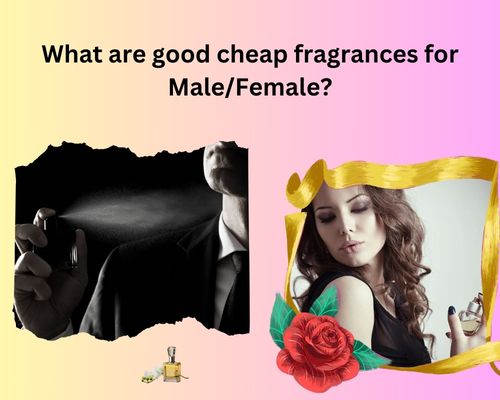 Perfume Brands for Men & Women
