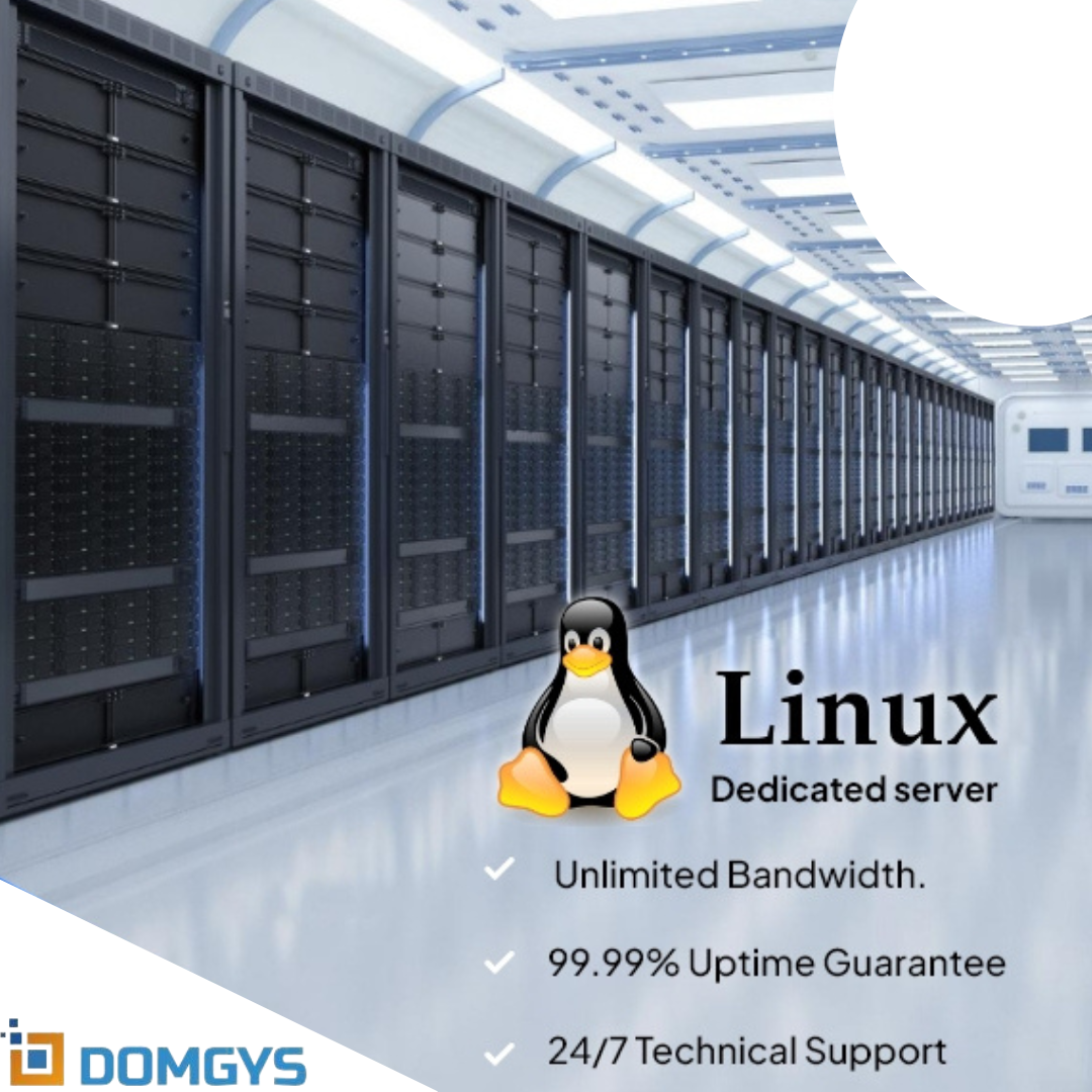 Dedicated Linux Server vs. Linux VPS Server: A Comprehensive Comparison Provided by Domgys