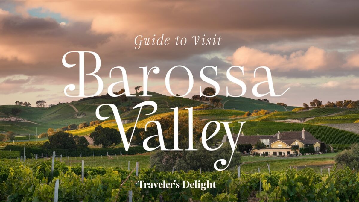 Guide To Visit Barossa Valley