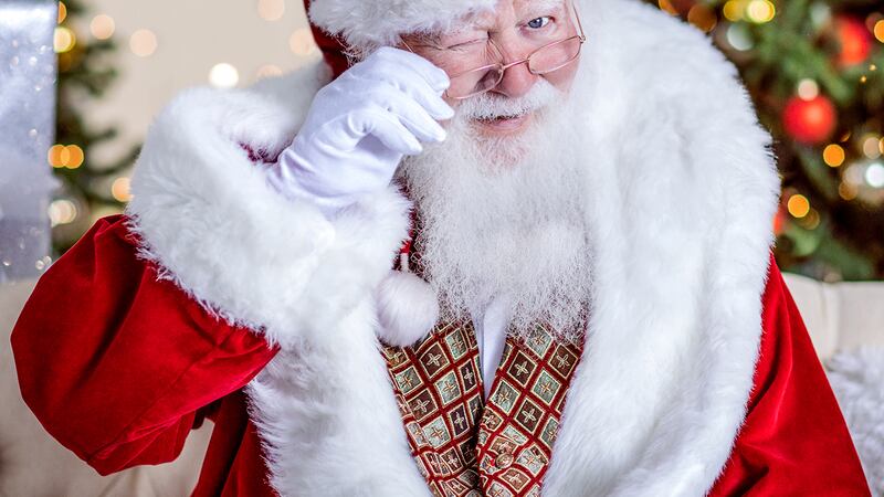 What Should You Expect from a Professional Santa Visit?