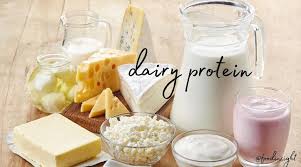 Dairy Protein Market