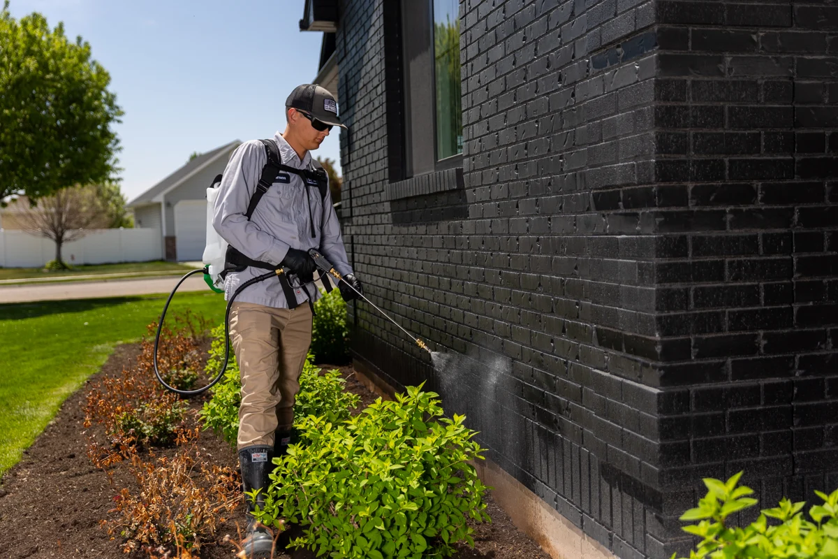 mosquito control columbus