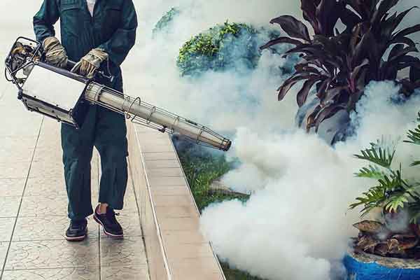 Fumigation Services in Islamabad and Guide Pest Control services