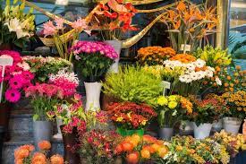 Al Mumtaz Flower Shop – Your Top Choice for Dubai Flower Delivery