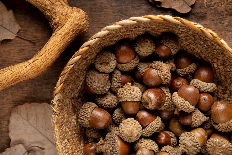 Chestnut Market 2024-2032: Share, Size, Trends, Scope, Analysis and Forecast