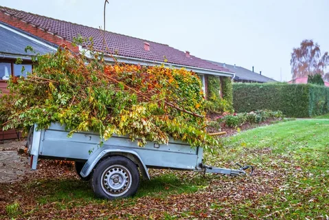 Green Waste Removal Near Me