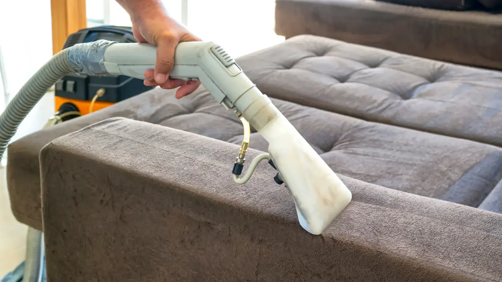 How to Remove Mold from Couch: 5 Proven Methods