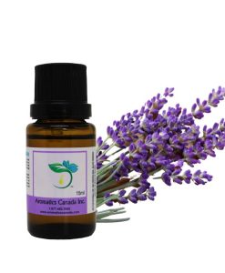 How Lavender Essential Oil Can Enhance Your Wellness Routine