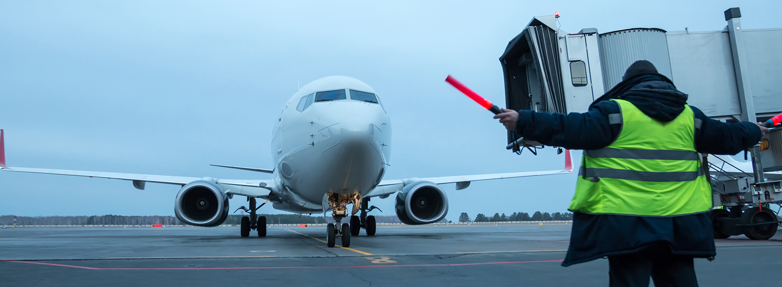 Aviation Security Services Provider