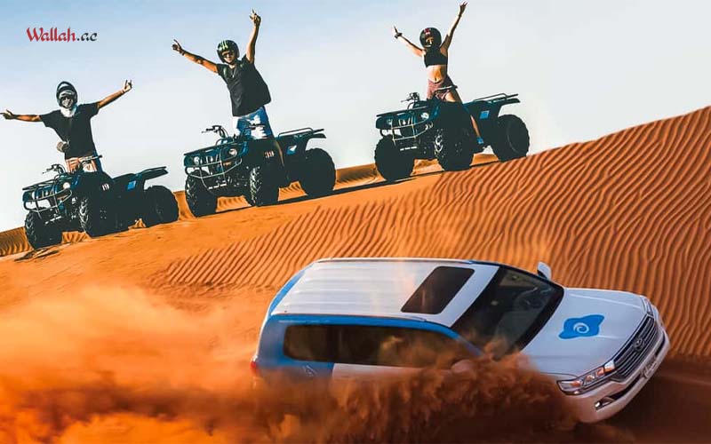 Top Fun Things To Do in Abu Dhabi