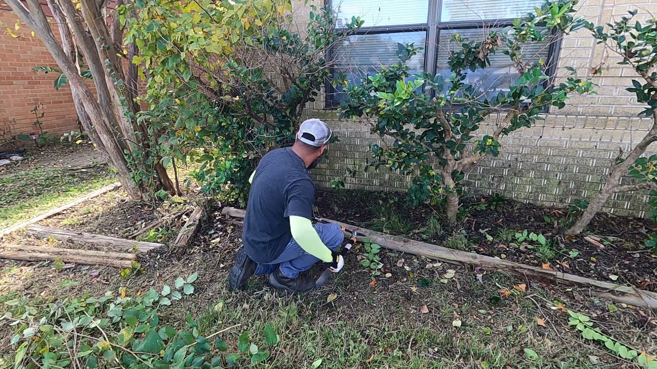 High-Quality Yard Transformations from Local Experts