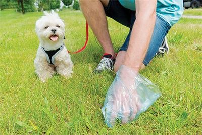 Products for pet waste