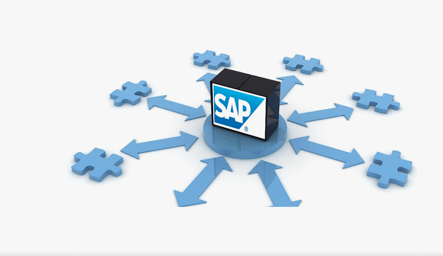 Marketing Your SAP Skills for a Lucrative Consulting Career