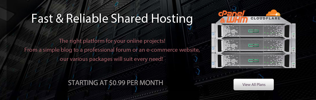 Best Affordable Web Hosting for WordPress Sites | RHC Hosting Solutions