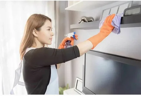 regular home cleaning services