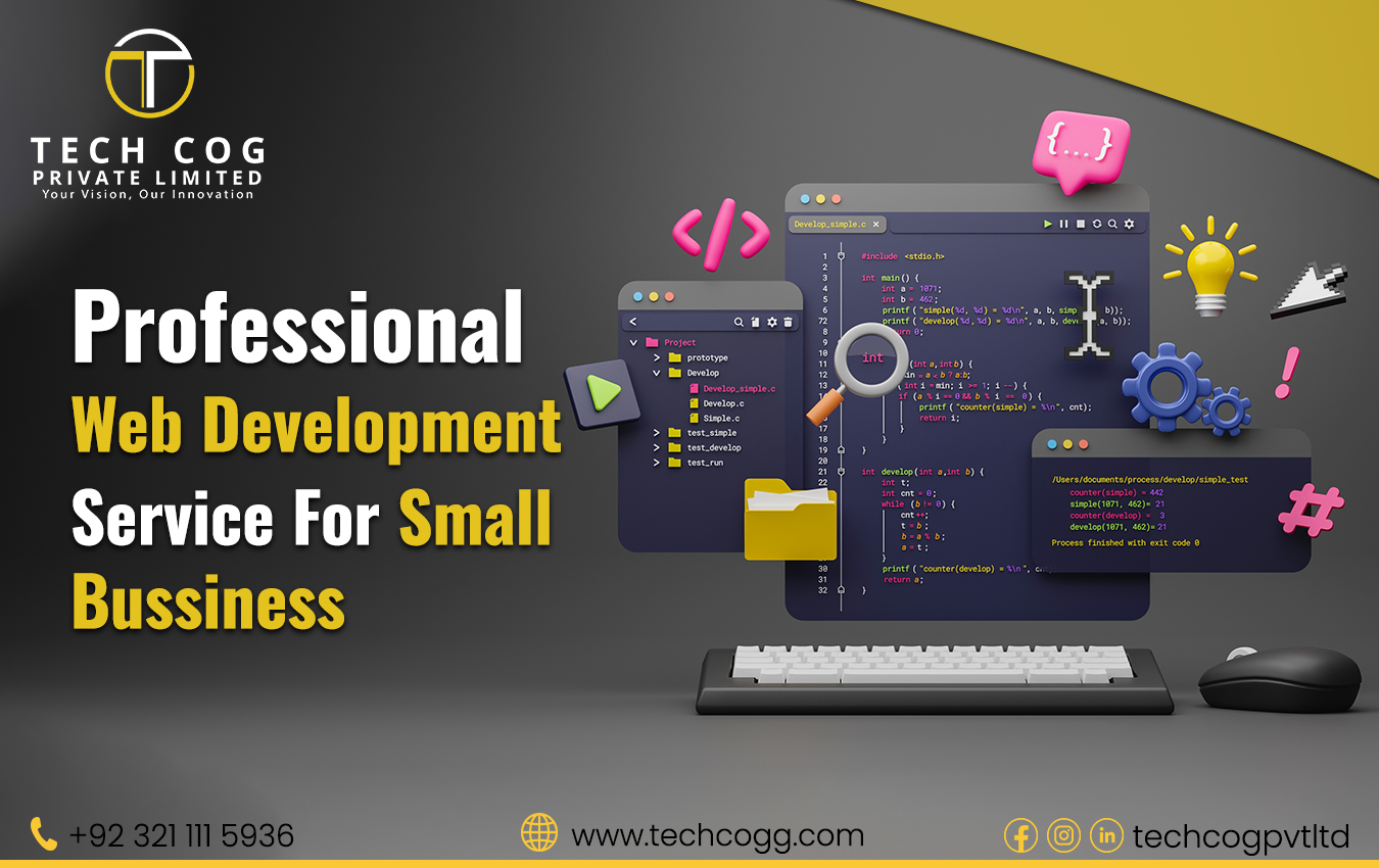 Professional Web Development Service for Small Business