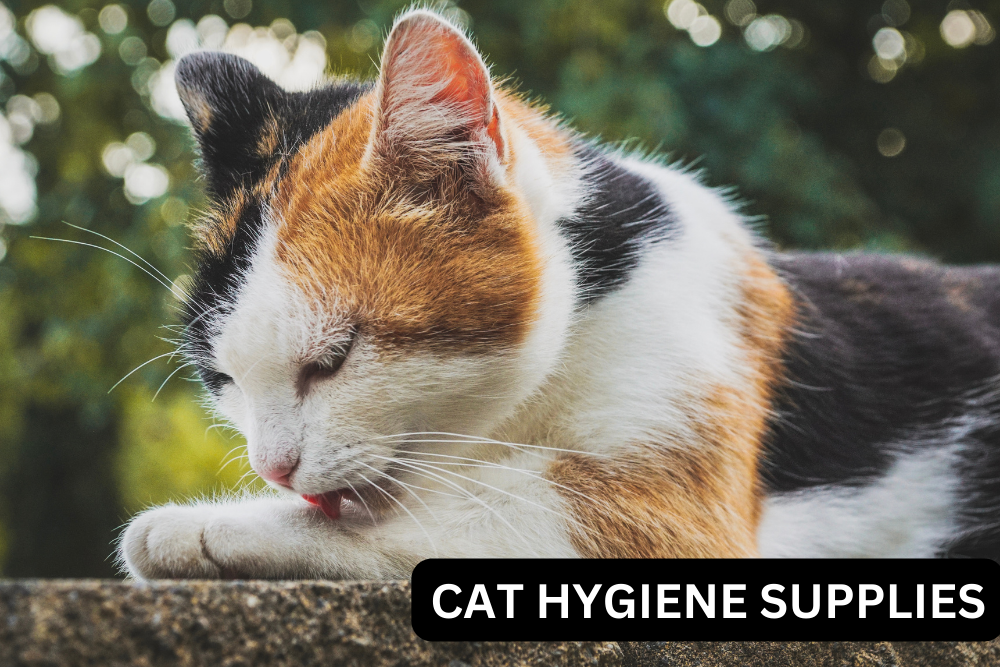 CAT HYGIENE SUPPLIES