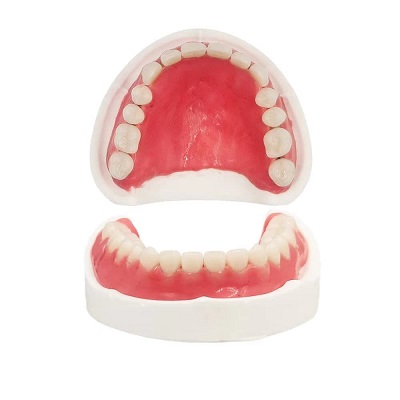 Teeth Dentures- A Comprehensive Guide to Options and Care