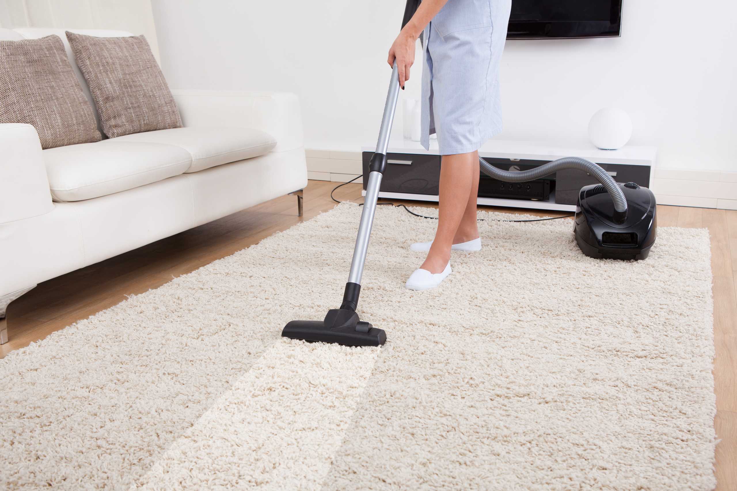 Carpet Cleaning Services