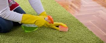 Affordable Carpet Cleaning Services: Transform Your Space Now!