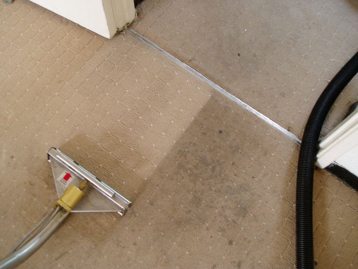 Carpet Cleaning Services in Staten Island