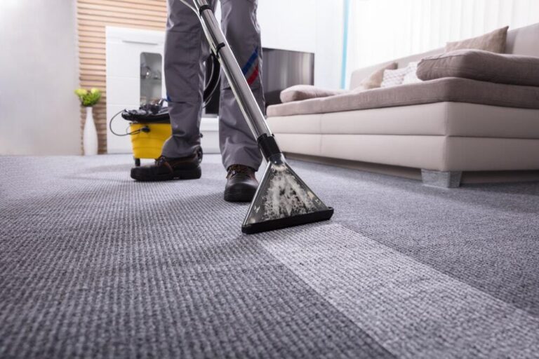 Create a Cozy Home Environment with Professional Carpet Cleaning