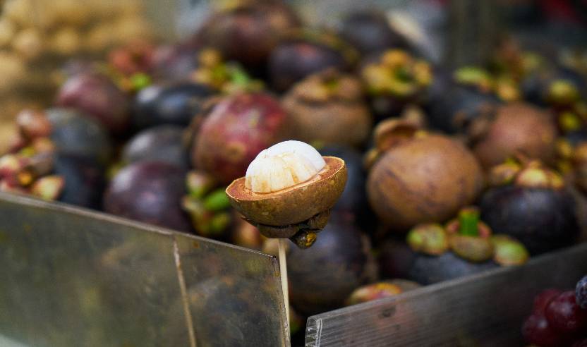 The Immunity Benefits of Monk Fruit: A Sweet Superfood