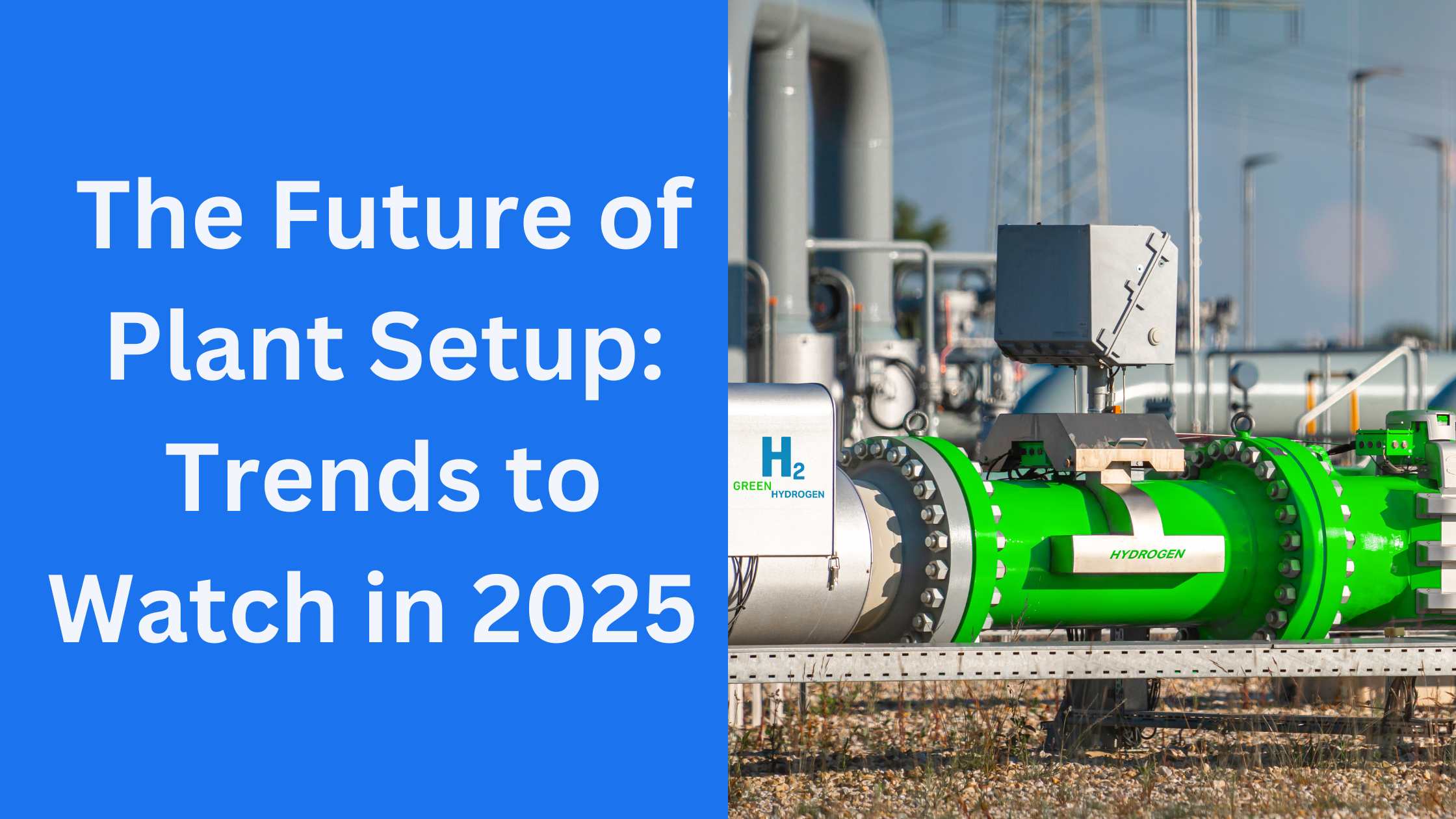 The Future of Plant Setup: Trends to Watch in 2025