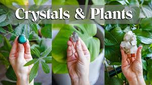 Crystals for Plants