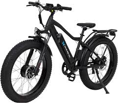 Adult Electric Bike