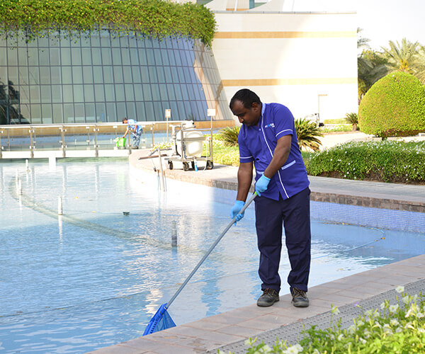 Professional Pool Cleaning: Keeping Your Oasis Crystal Clear