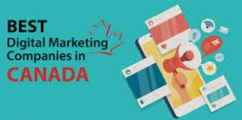 canada digital marketing agency