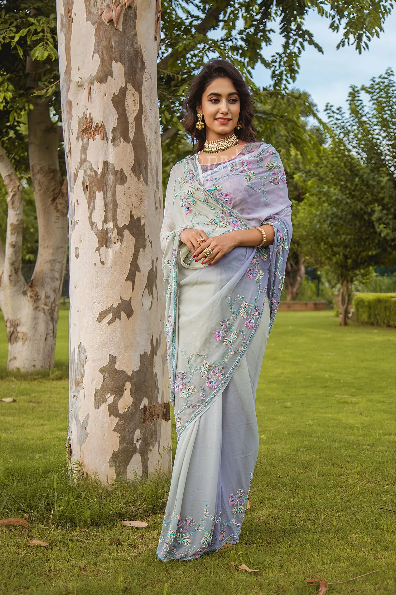 Tissue Saree