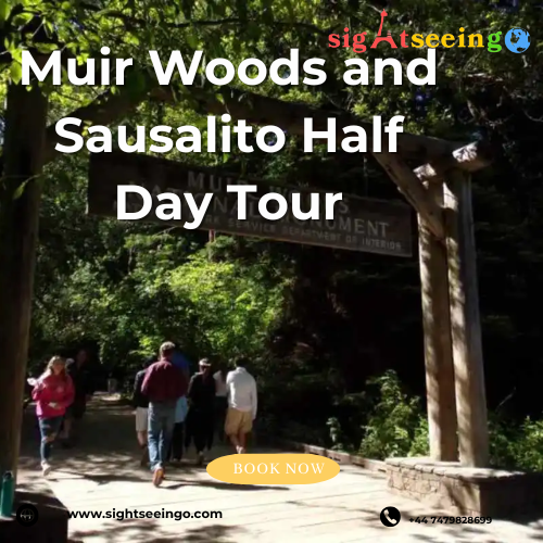 Discovering Serenity: A Half-Day Adventure in Muir Woods and Sausalito