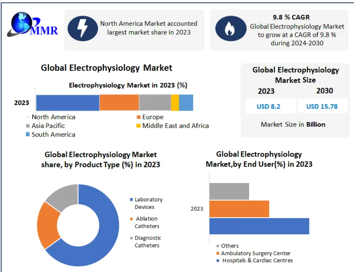 Electrophysiology Market Outlook 2025–2032: Growth Driven by AFib Diagnosis and Minimally Invasive Cardiac Treatments