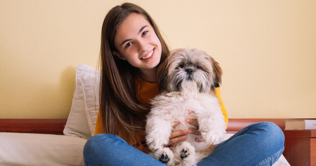 Shih Tzu Puppies Under $500 near Me
