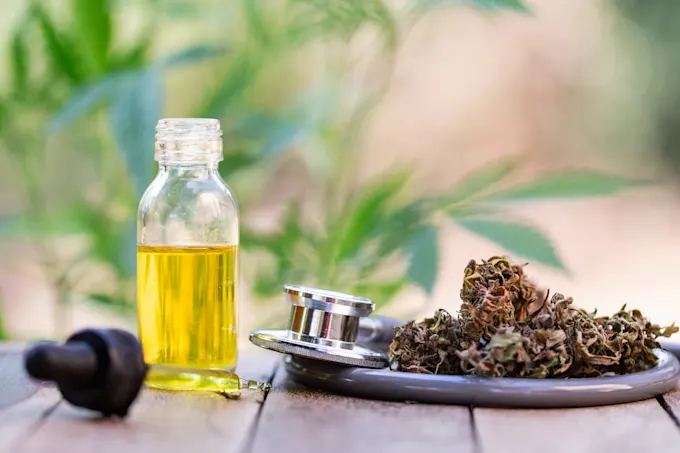 Everything You Need to Know Before You Buy Cannabinoid Oil