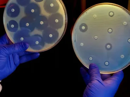The Science of Safe Food: Exploring Growth in Bacteriocins & Protective Cultures