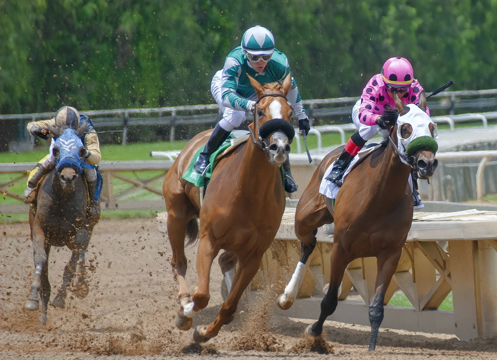 Handicapper Badsha Tips