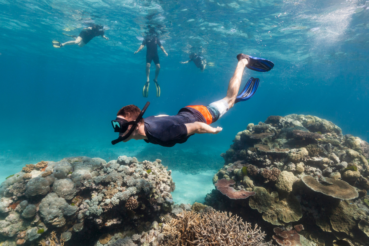 snorkeling tours turks and caicos
