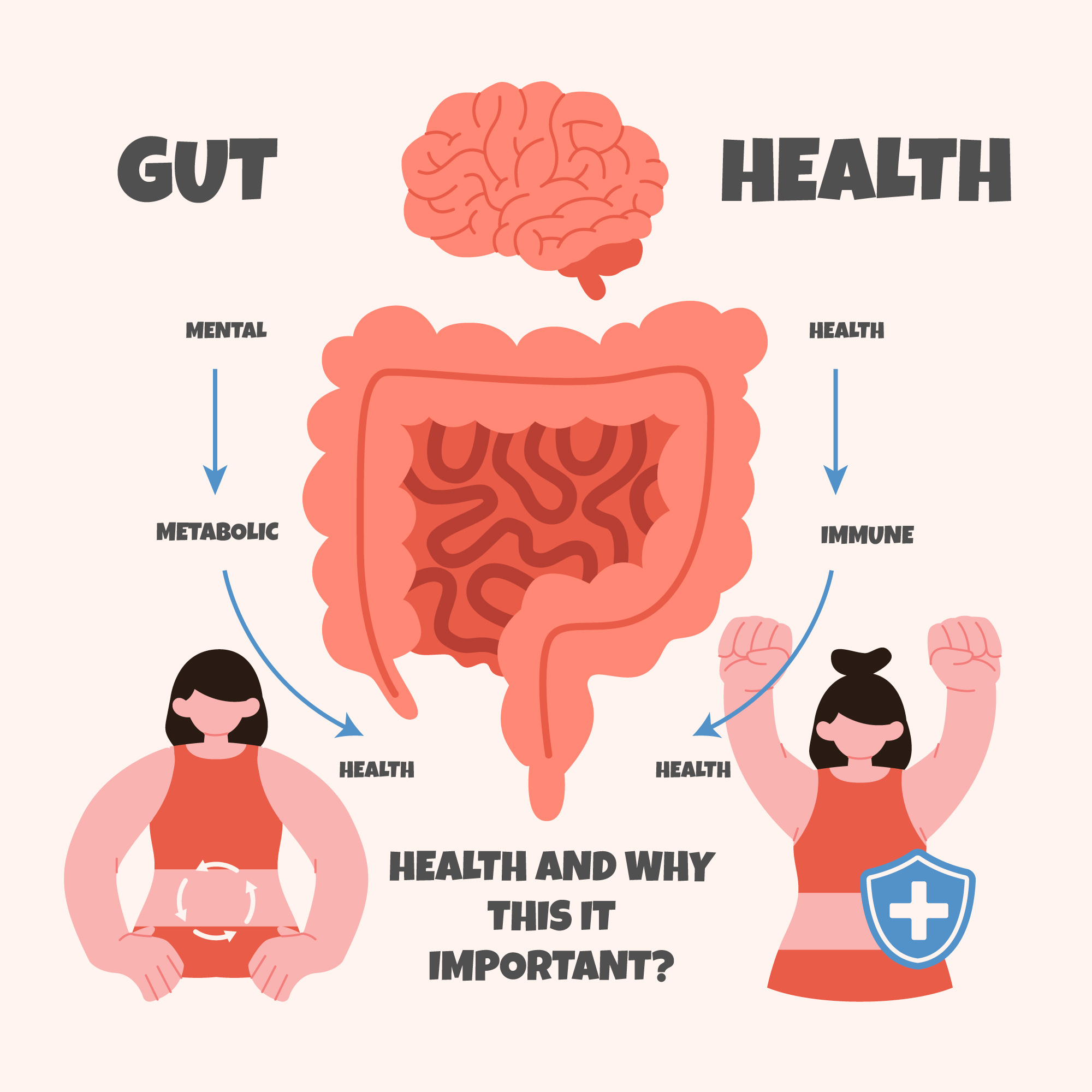 gut-health