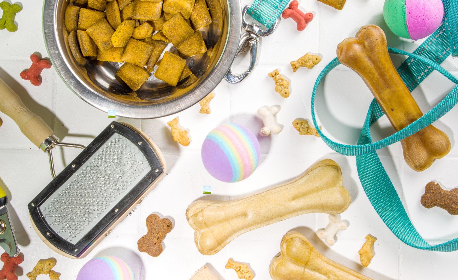 India Pet Care Products Market