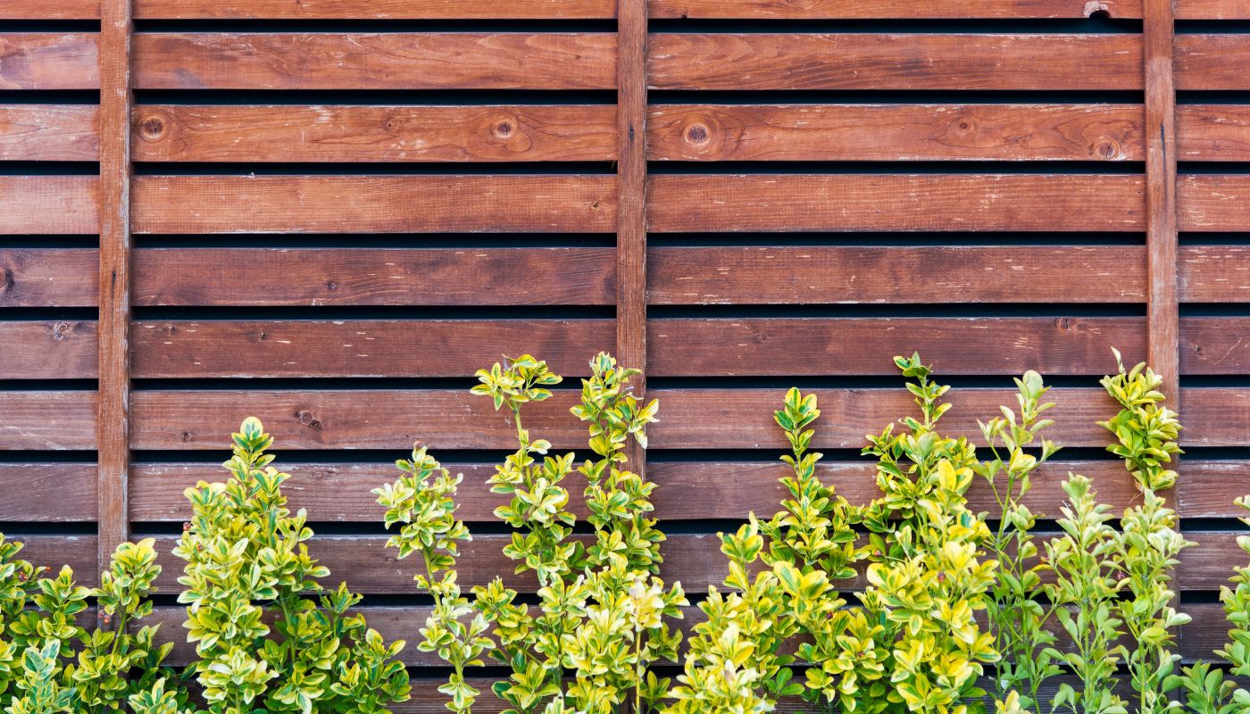 Wood Fence