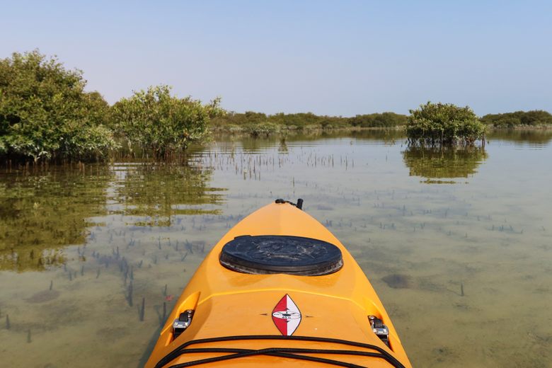 Kayaking Adventure in Al Thakira