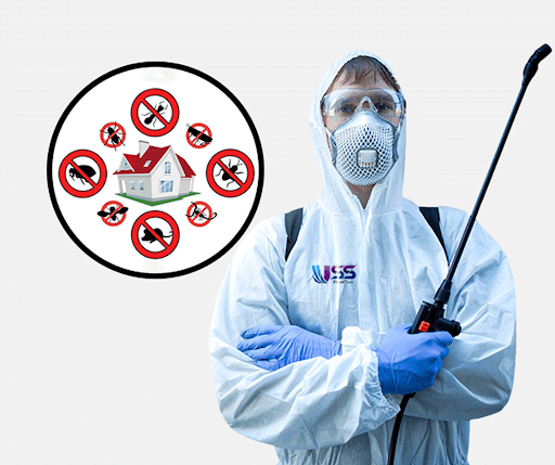 Kolkata Pest Control Service